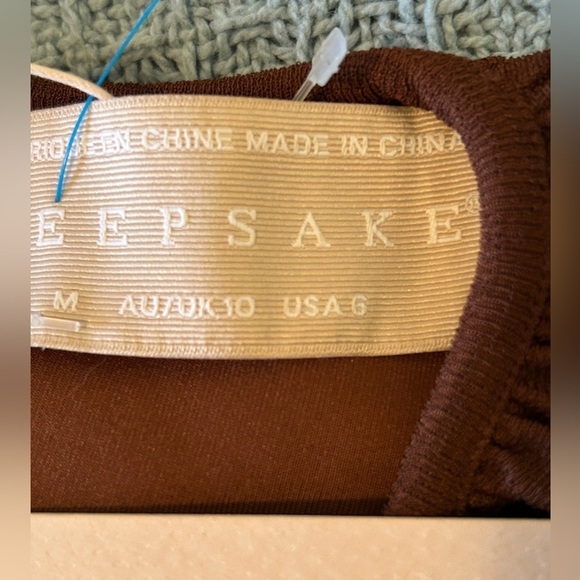 Thelma Dress by Keepsake NWT size 6 - Picture 10 of 13